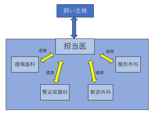 担当医制の導入