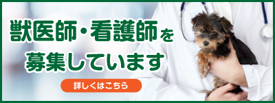 獣医師・看護師を募集しています