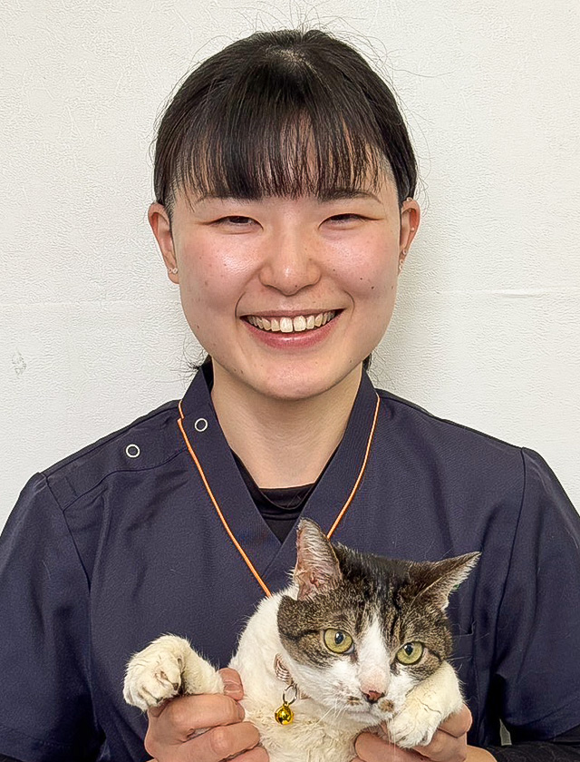 看護助手　吉川
